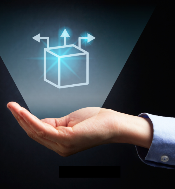 protección de marcas en contratos de distribución